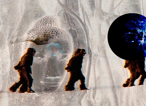 Top 3 Books About Human Consciousness